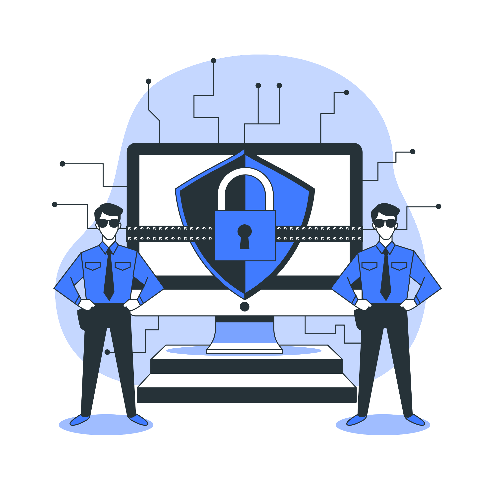 Penetration Testing Services - Presidio IRM LLP